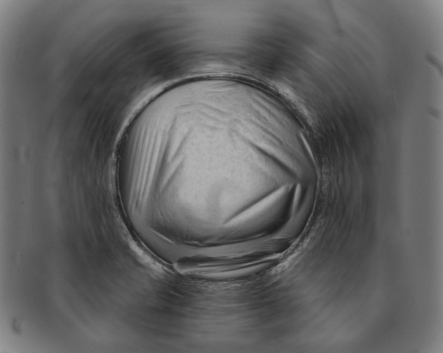 X0000090971421200708301216