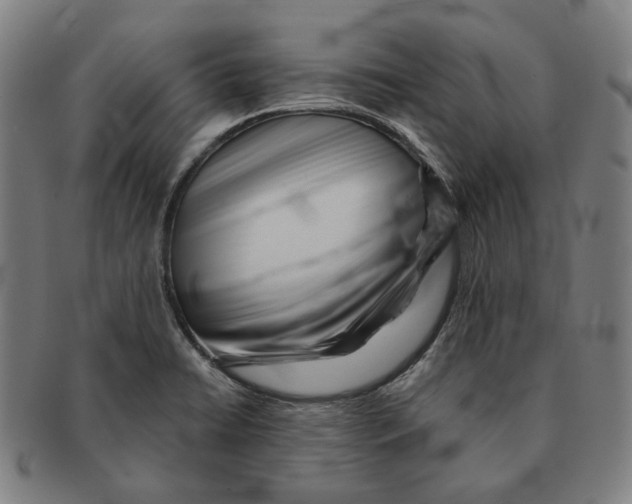 X0000090971422200708301216