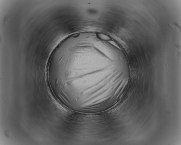 X0000090971423200708301216