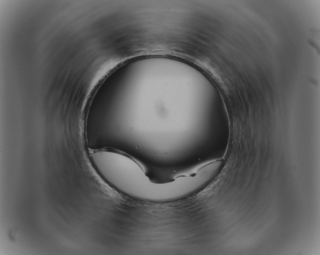 X0000090971424200708301216