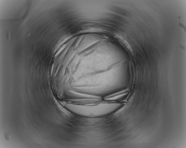 X0000090971425200708301216