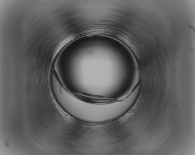 X0000090971426200708301216