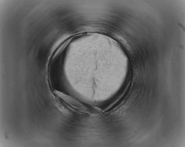 X0000090971427200708301216