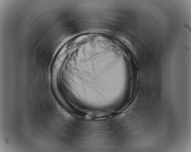 X0000090971428200708301216