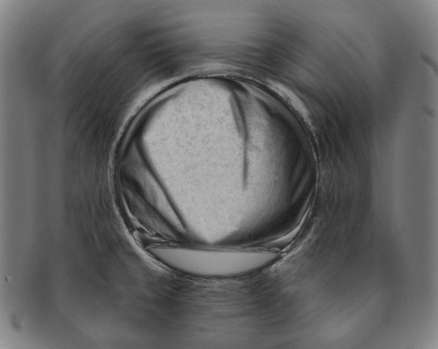 X0000090971429200708301216