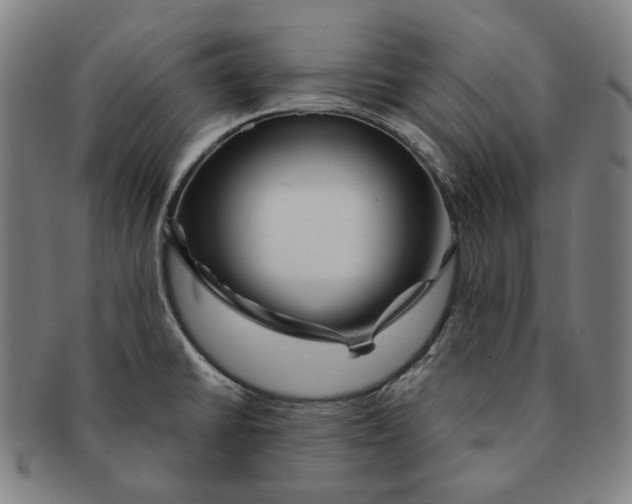 X0000090971430200708301216