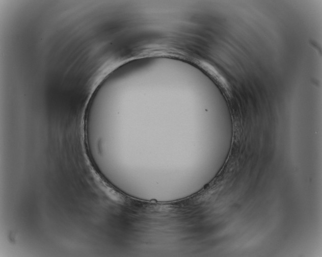 X0000090971431200708301216