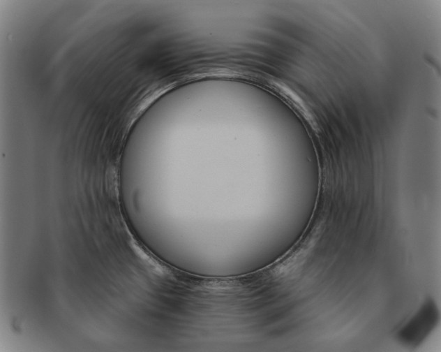 X0000090971433200708301216