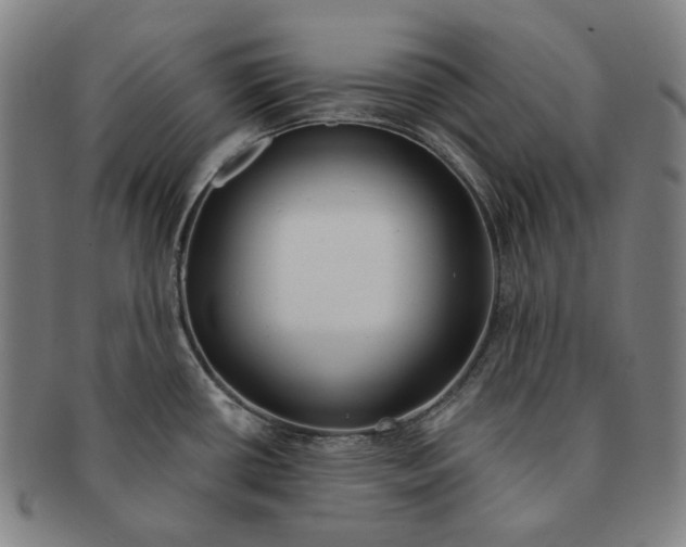 X0000090971434200708301216