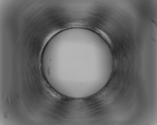 X0000090971435200708301216