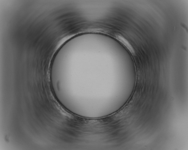 X0000090971436200708301216