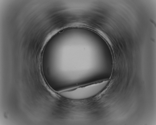 X0000090971437200708301216