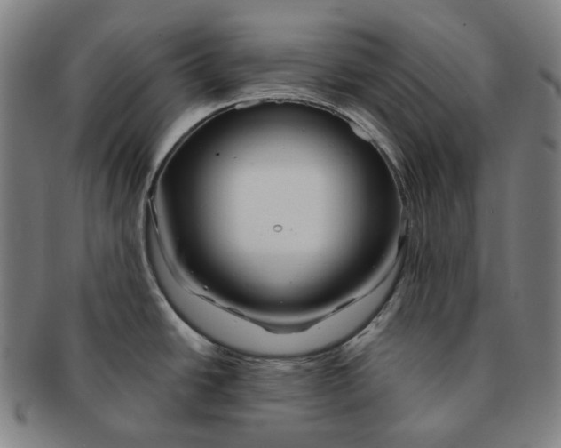 X0000090971438200708301216