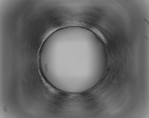 X0000090971439200708301216