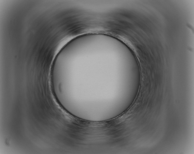 X0000090971440200708301216