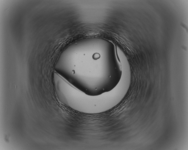 X0000090971441200708301215