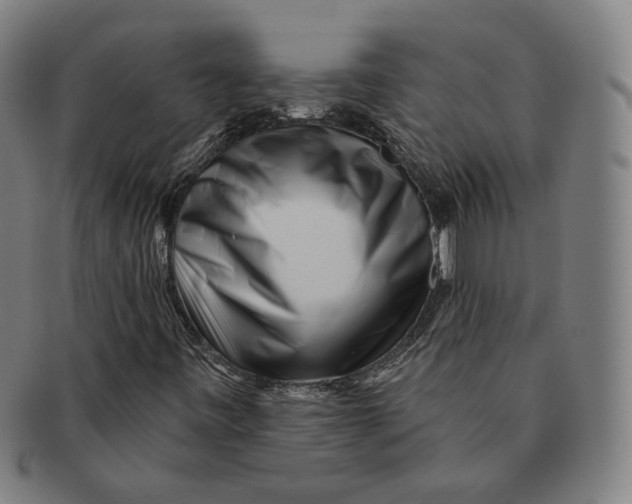 X0000090971443200708301215