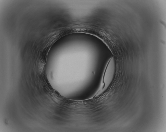 X0000090971444200708301215