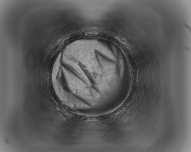 X0000090971445200708301215