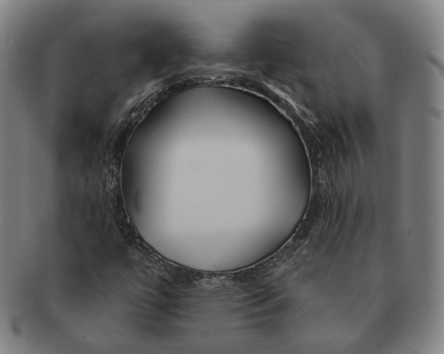 X0000090971447200708301215