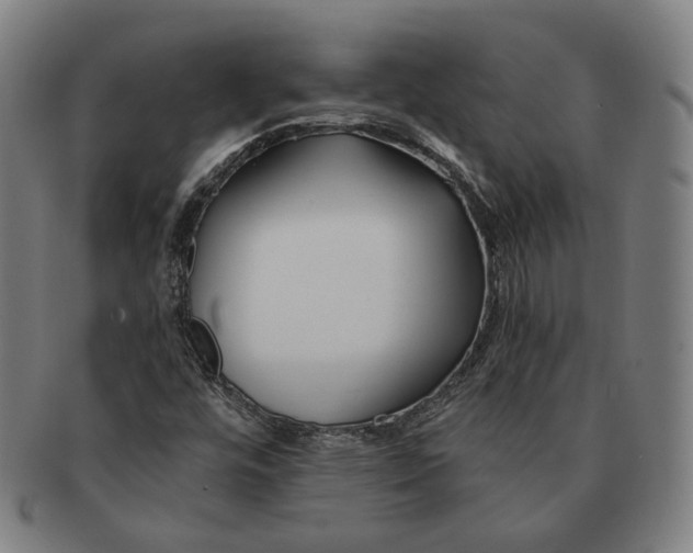 X0000090971448200708301215