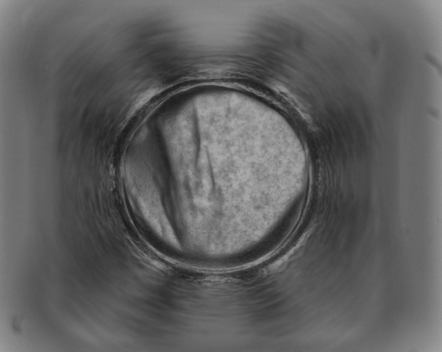 X0000090971449200708301215