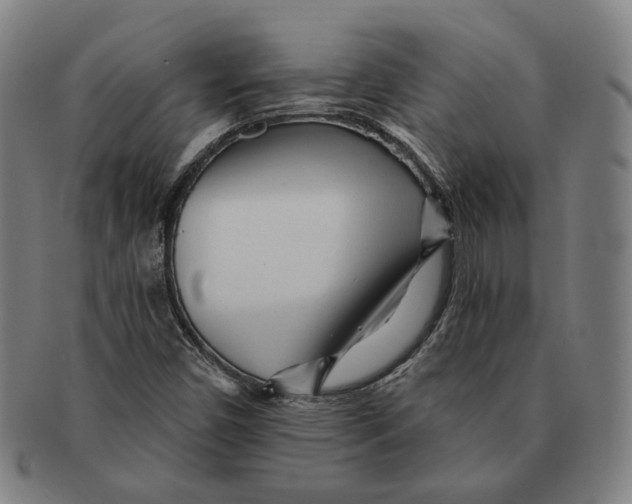 X0000090971450200708301215