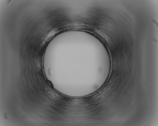 X0000090971451200708301215