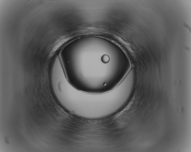 X0000090971453200708301215