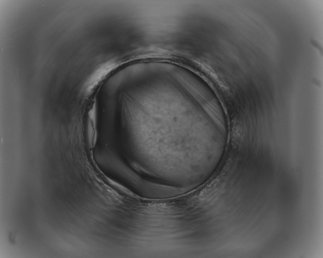 X0000090971455200708301215