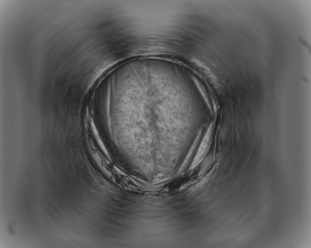 X0000090971457200708301215