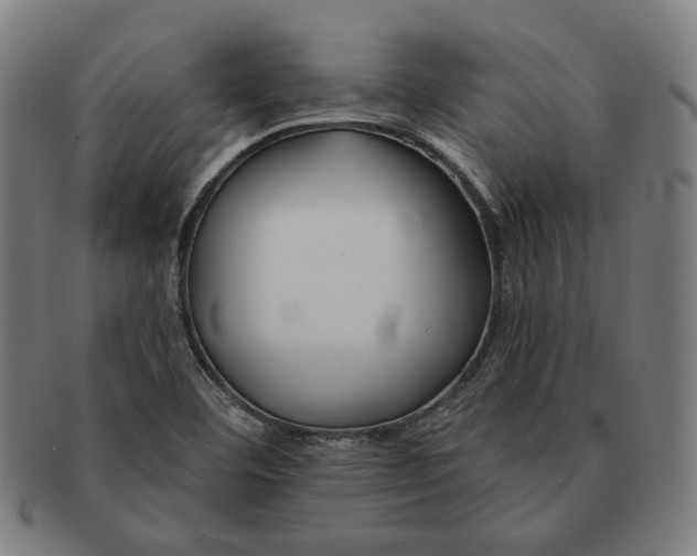 X0000090971460200708301215