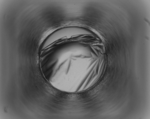 X0000090971461200708301215