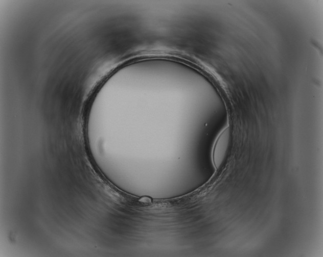 X0000090971464200708301215