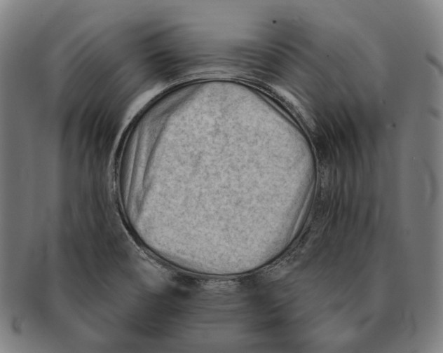 X0000090971466200708301215