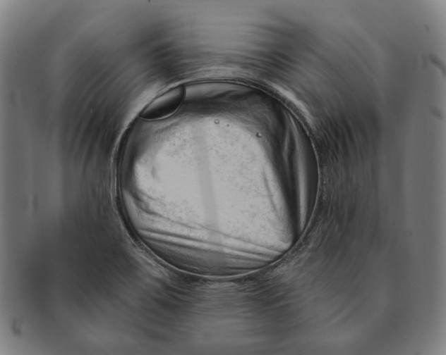 X0000090971467200708301215