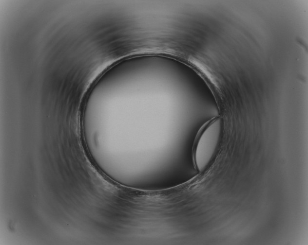 X0000090971468200708301215