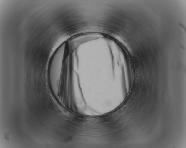 X0000090971469200708301215