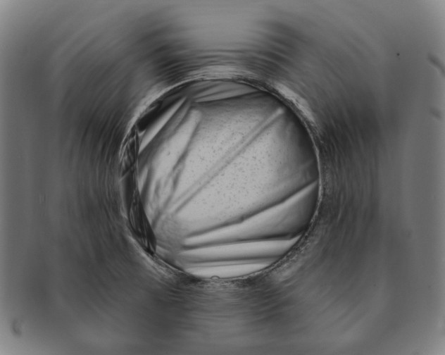 X0000090971473200708301215