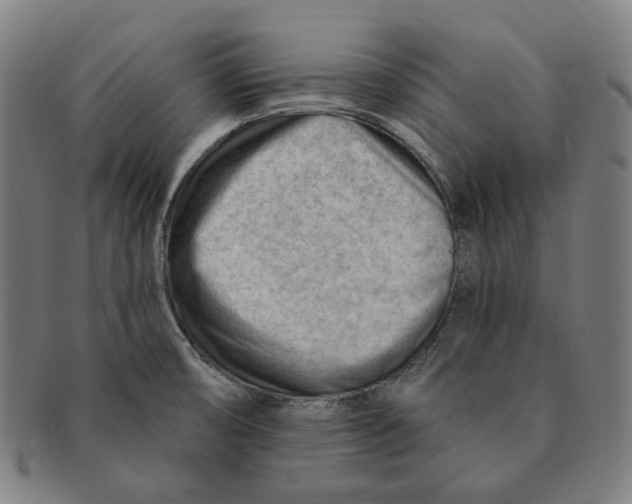 X0000090971474200708301215