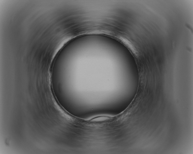 X0000090971476200708301215