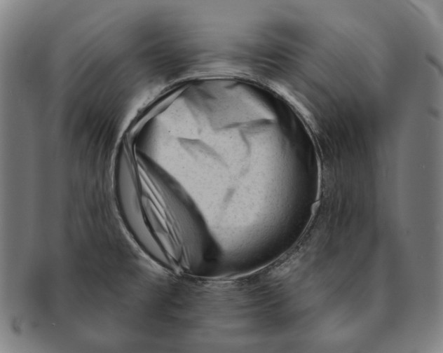 X0000090971477200708301215