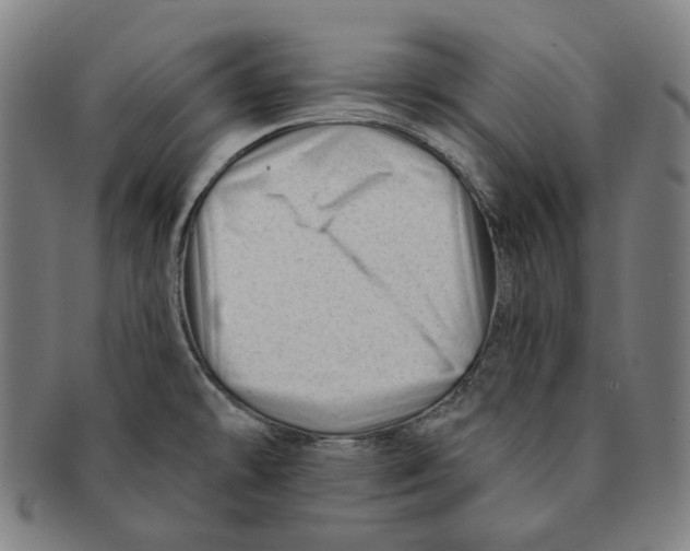 X0000090971478200708301215