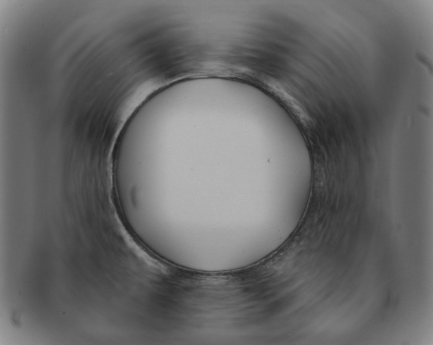 X0000090971479200708301215