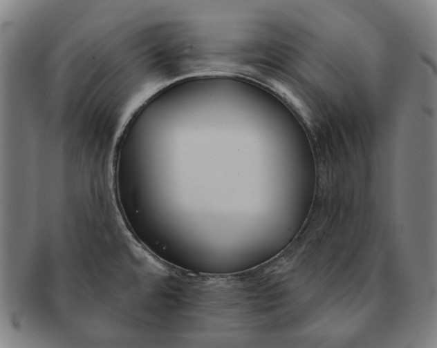 X0000090971480200708301215