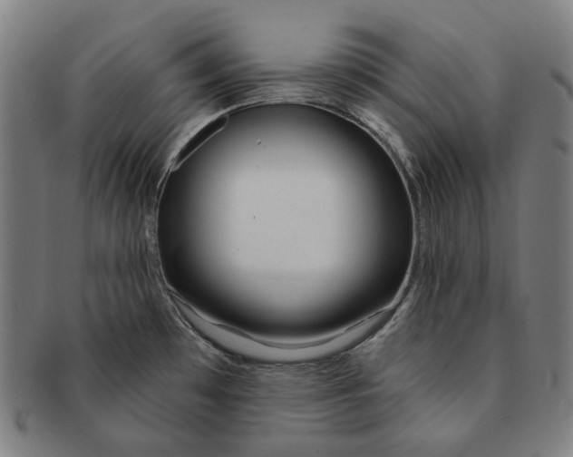 X0000090971481200708301215