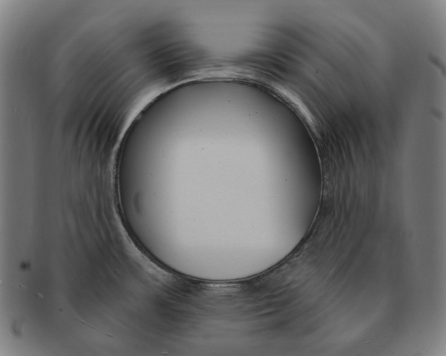 X0000090971483200708301215