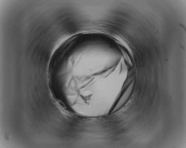 X0000090971485200708301215