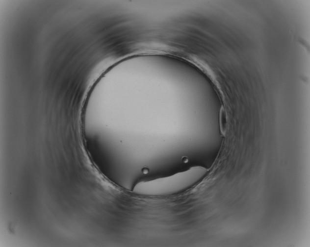 X0000090971488200708301215