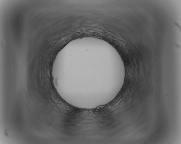 X0000090971489200708301214